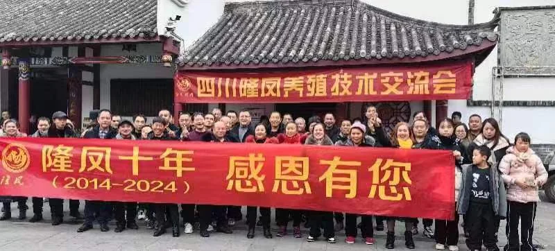 隆凤十年客户活动